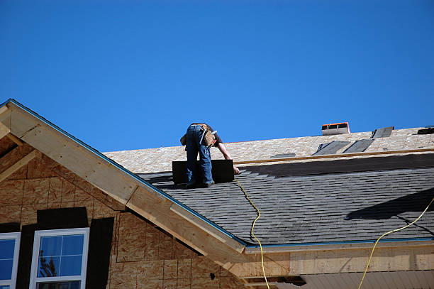 Professional Roofing Contractor in Newport, NC